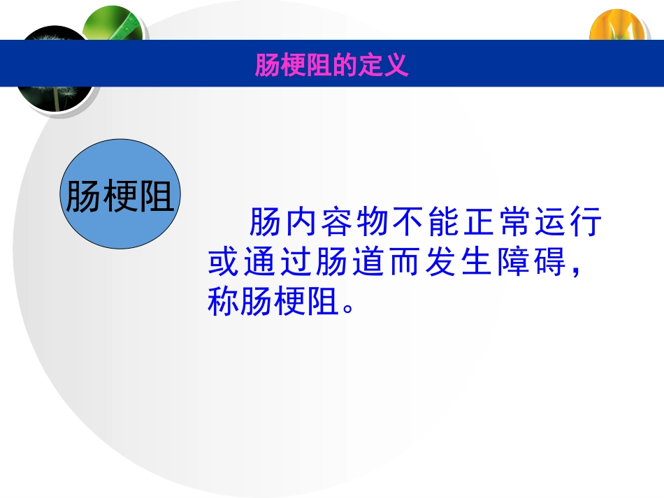 急性肠梗阻的应急预案_第2页