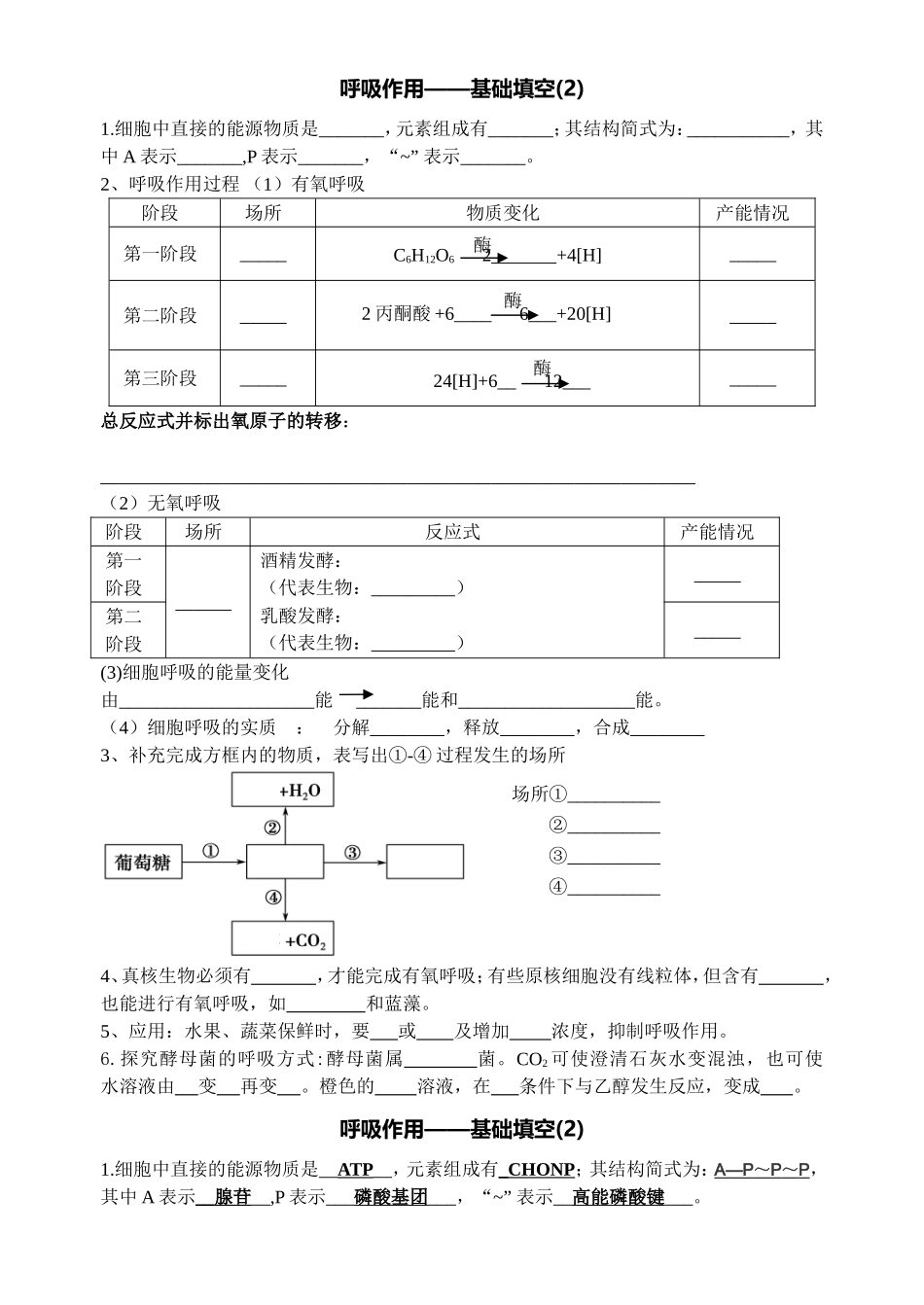 呼吸基础知识填空_第1页