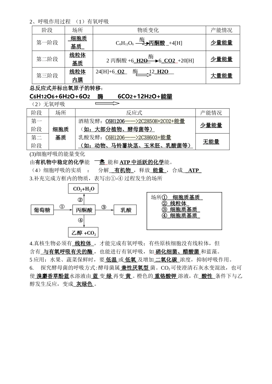 呼吸基础知识填空_第2页
