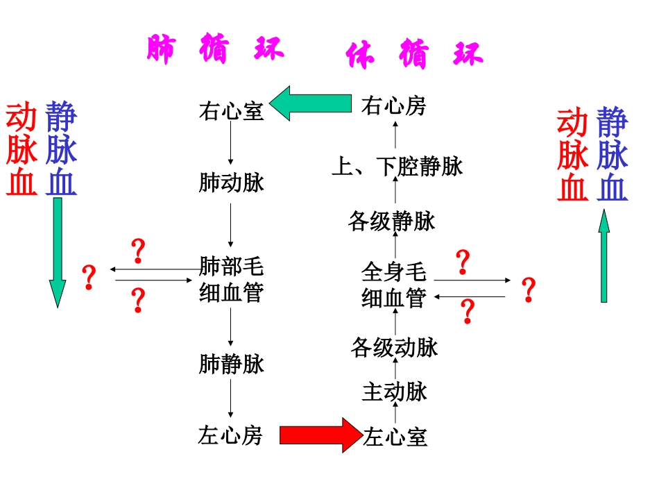 说出体循环及肺循环的途径以及其血液成分的变化_第2页