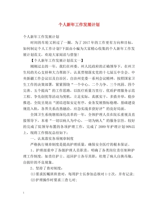 个人新年工作发展计划 