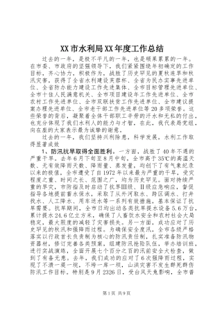 XX市水利局XX年度工作总结