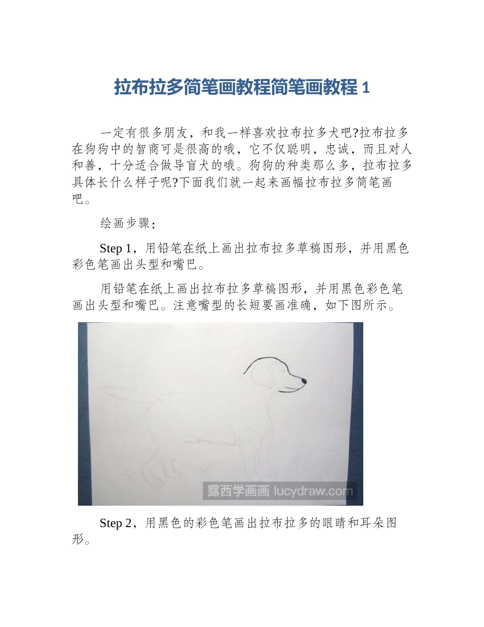 拉布拉多简笔画教程简笔画教程1_第1页
