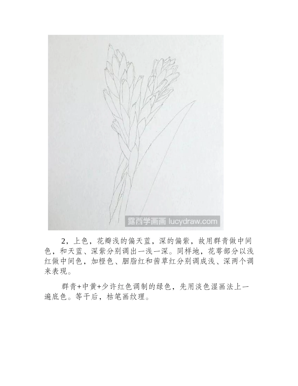 魁式凤梨水彩画教程水彩画教程_第2页