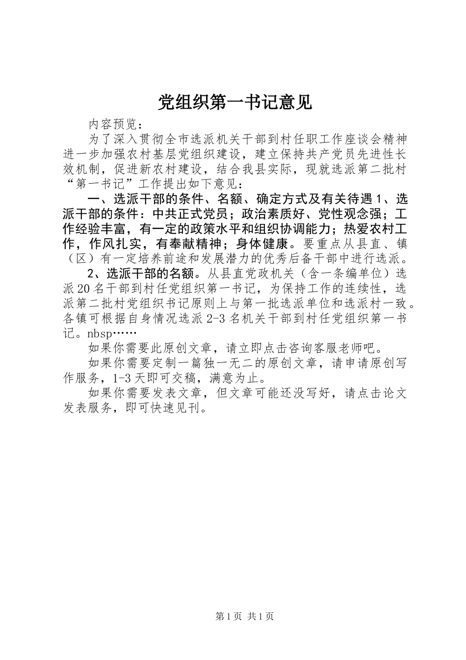 党组织第一书记意见_第1页