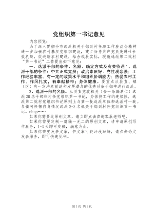 党组织第一书记意见
