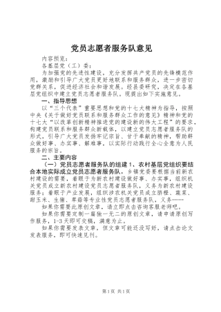 党员志愿者服务队意见