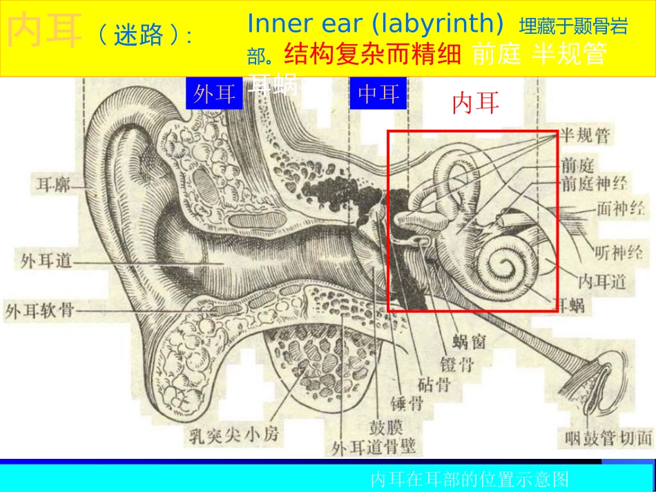 梅尼埃病-meniere_第3页