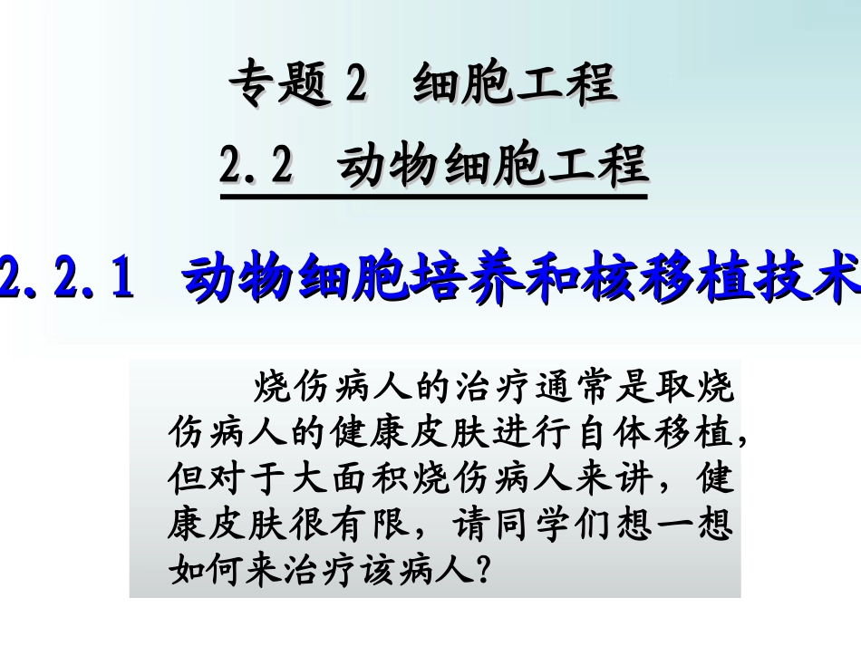 动物细胞培养和核移植技术上课_第1页