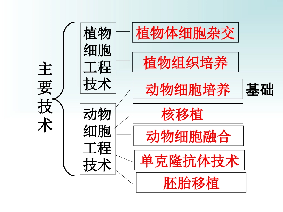 动物细胞培养和核移植技术上课_第2页