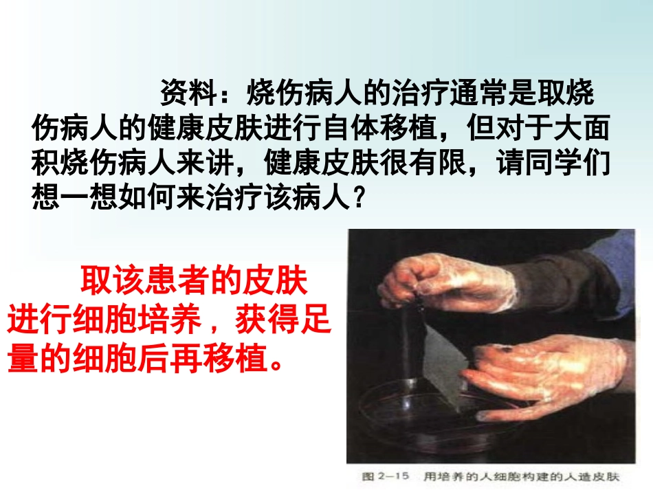 动物细胞培养和核移植技术上课_第3页