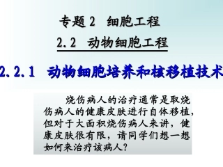 动物细胞培养和核移植技术上课