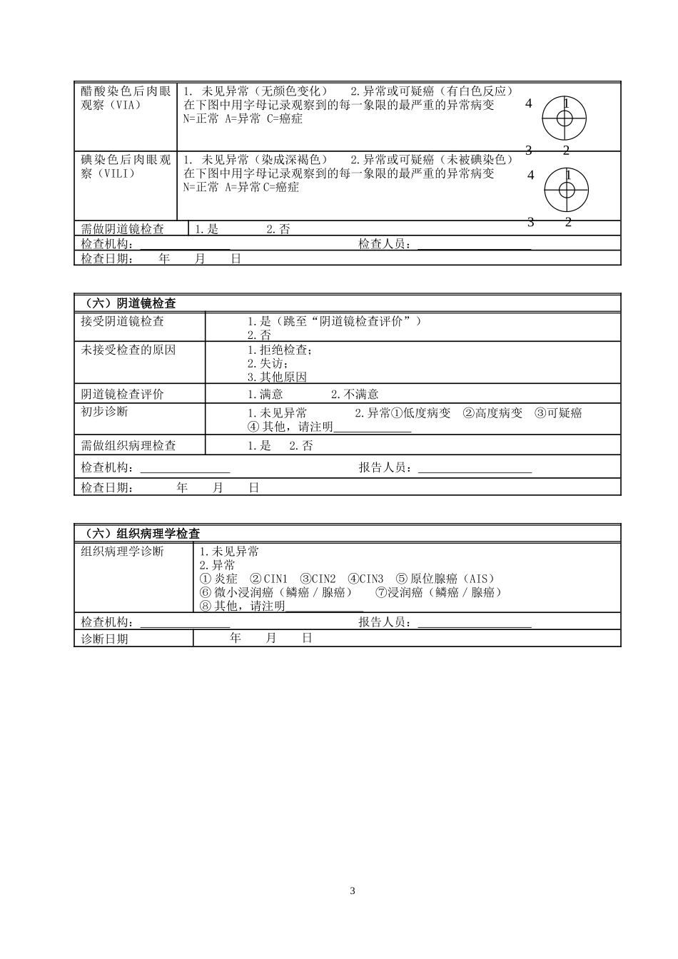 宫颈癌检查个案登记表_第3页