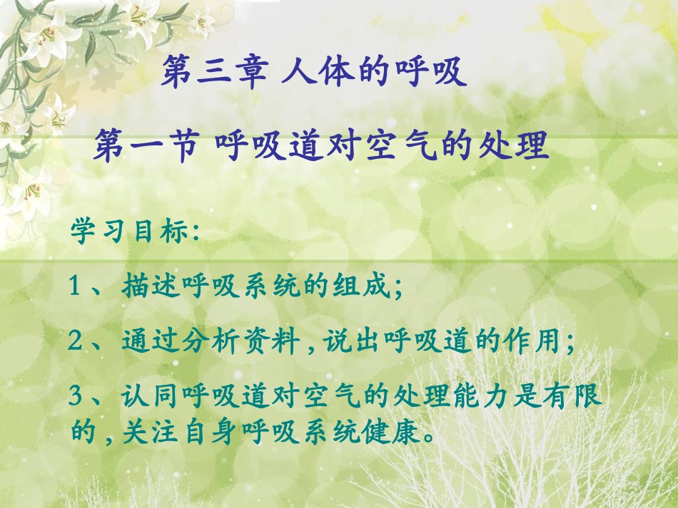 呼吸道对空气的处理32487066_第1页