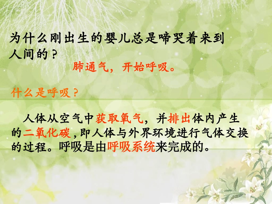 呼吸道对空气的处理32487066_第2页