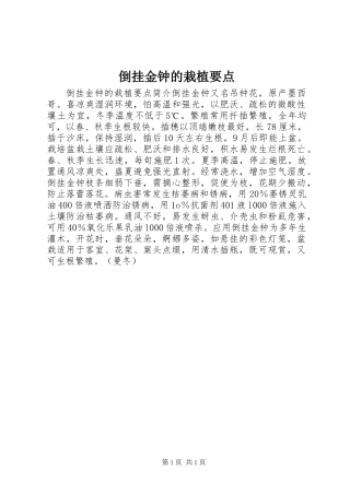 倒挂金钟的栽植要点