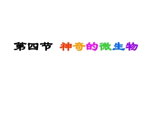 神奇的微生物 (2)