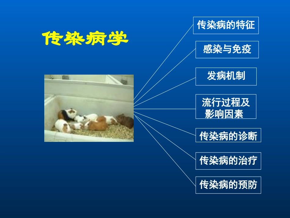 传染病学总论1_第3页