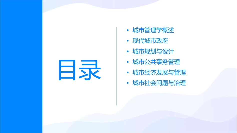 城市管理学5现代城市政府课件_第2页