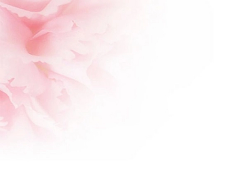 超级精美PPT模板背景_第2页