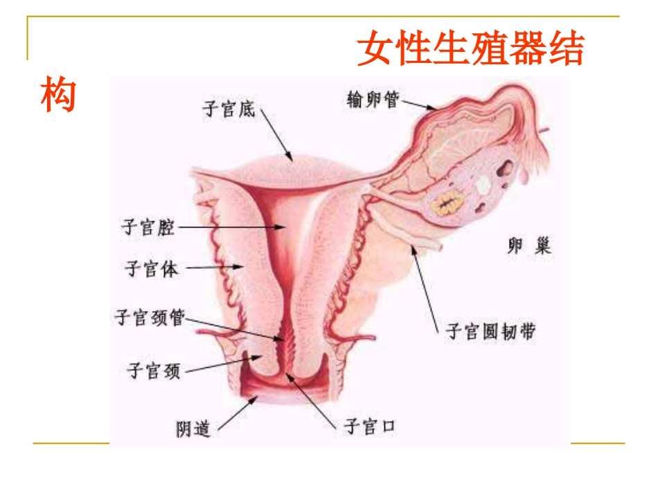 宫颈炎、附件炎、盆腔炎..._第2页