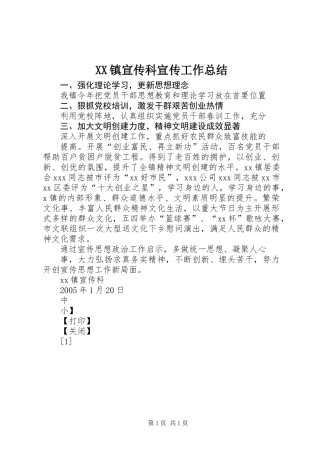 XX镇宣传科宣传工作总结