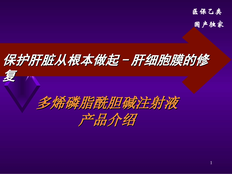 多烯酰磷脂胆碱注射液_第1页