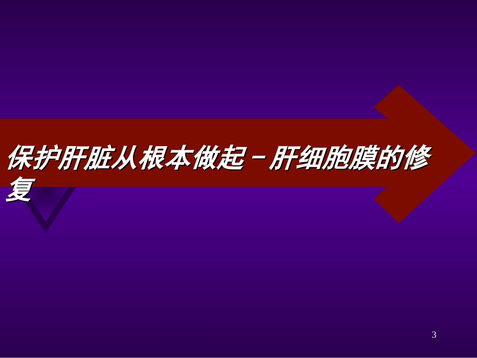 多烯酰磷脂胆碱注射液_第3页