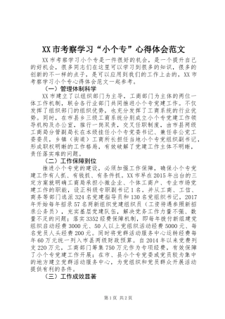 XX市考察学习“小个专”心得体会范文