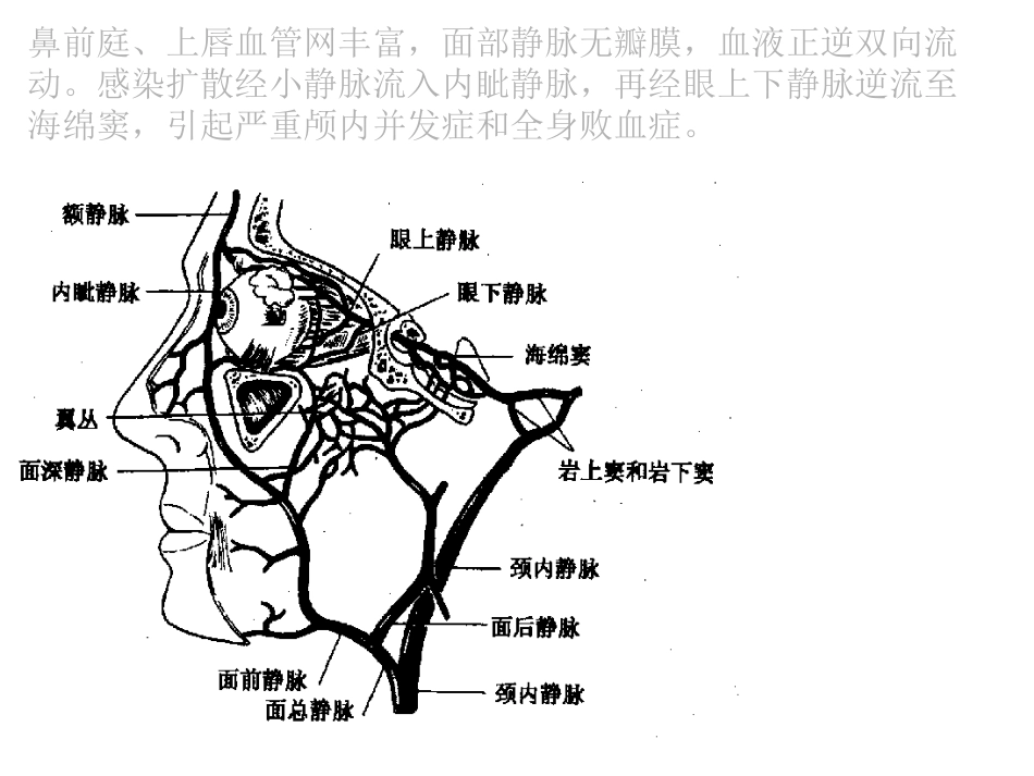 呼吸暂停平均次数每小时中枢性睡眠_第3页
