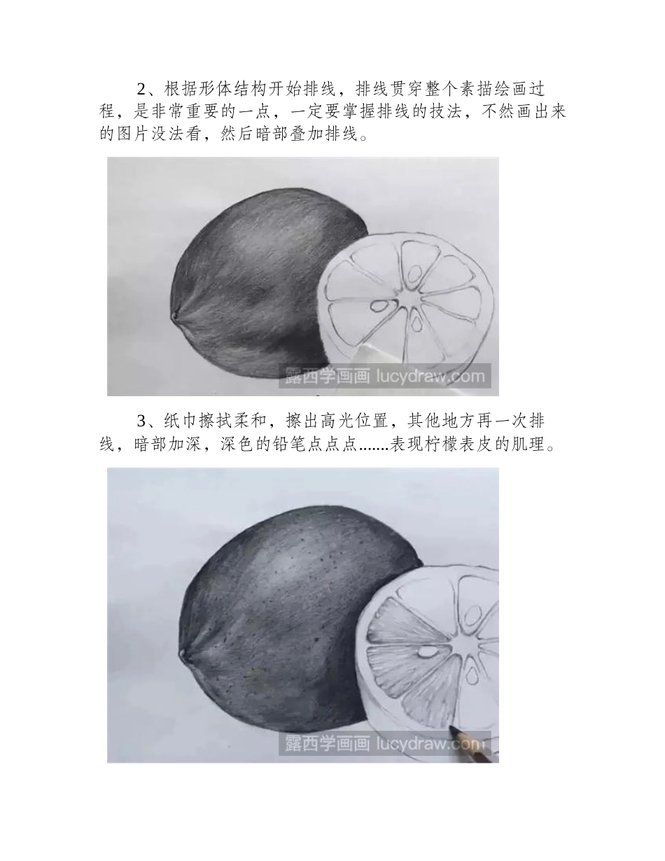 柠檬素描怎么画_素描柠檬的绘画步骤有哪些_素描教程_第2页
