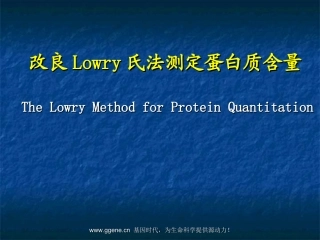 改良Lowry氏法测定蛋白质含量