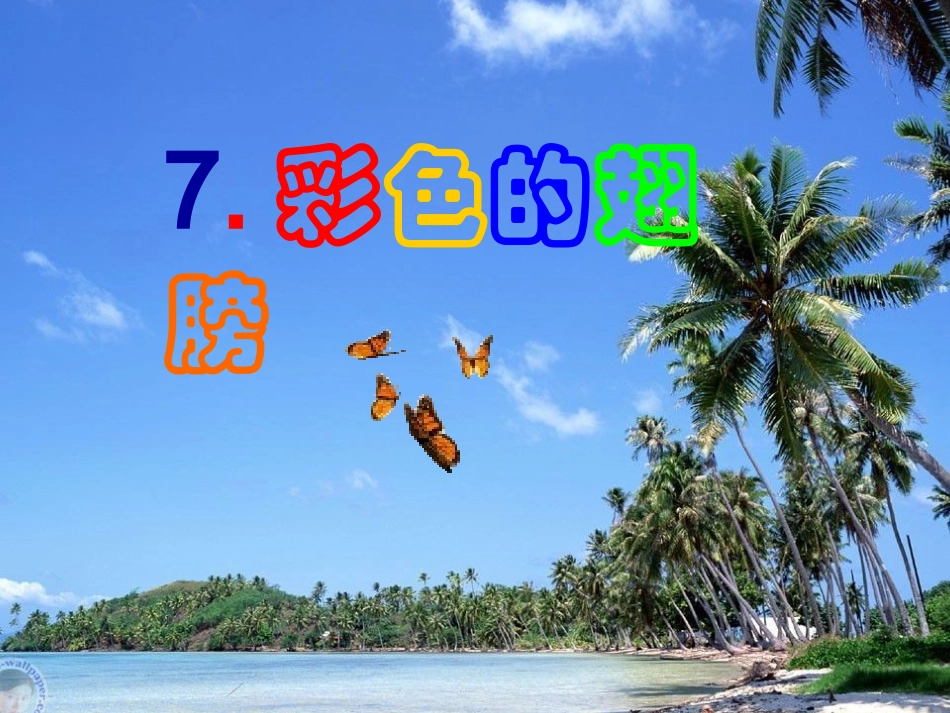 彩色的翅膀 (3)_第3页