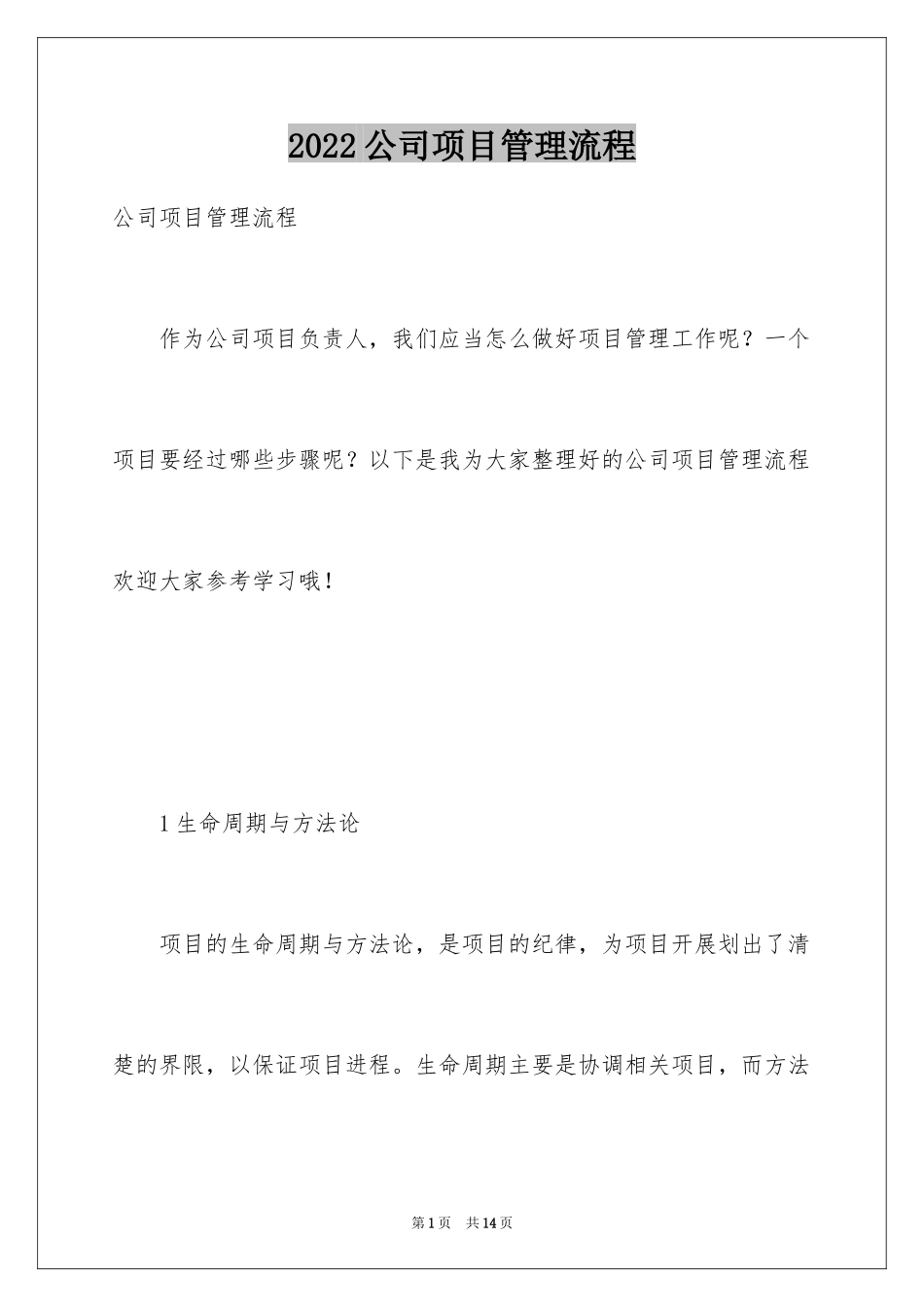 2024公司项目管理流程_第1页