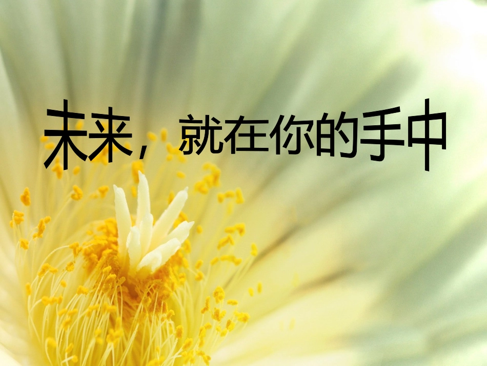 小学六年级毕业前讲座_第1页