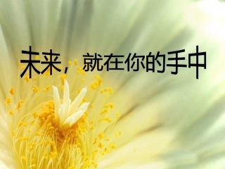 小学六年级毕业前讲座