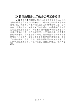 XX县行政服务大厅政务公开工作总结 (2)