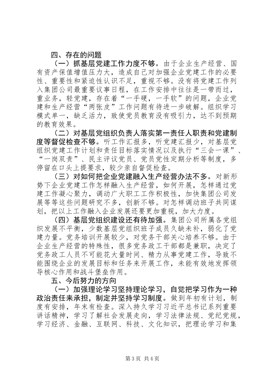 党委书记述职报告 (3)_第3页