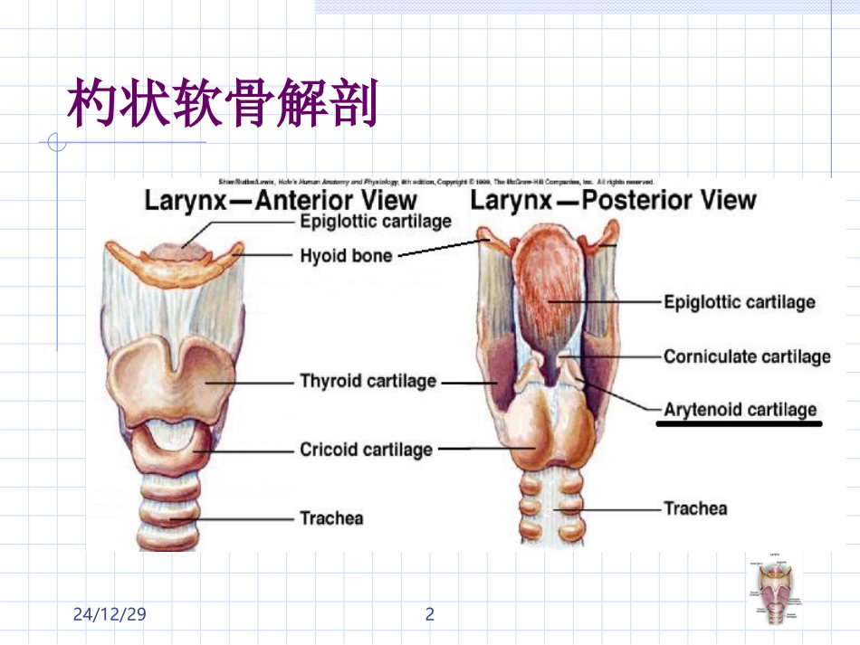 杓状软骨脱原因及处理_第2页