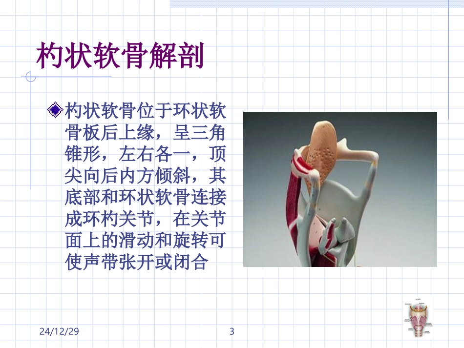 杓状软骨脱原因及处理_第3页