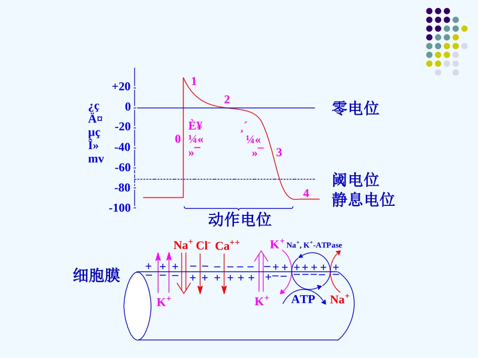 教学实践药化.ppt_第2页