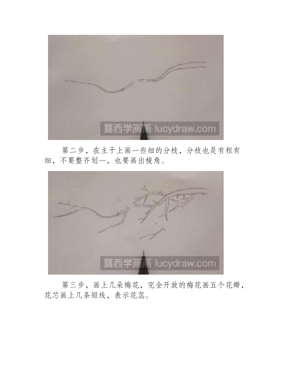 梅花彩铅画教程彩铅画教程1_第2页