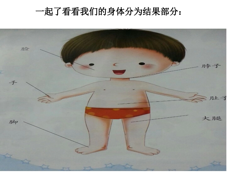 大班健康(身体部位)李艳玲_第2页