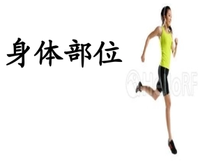 大班健康(身体部位)李艳玲