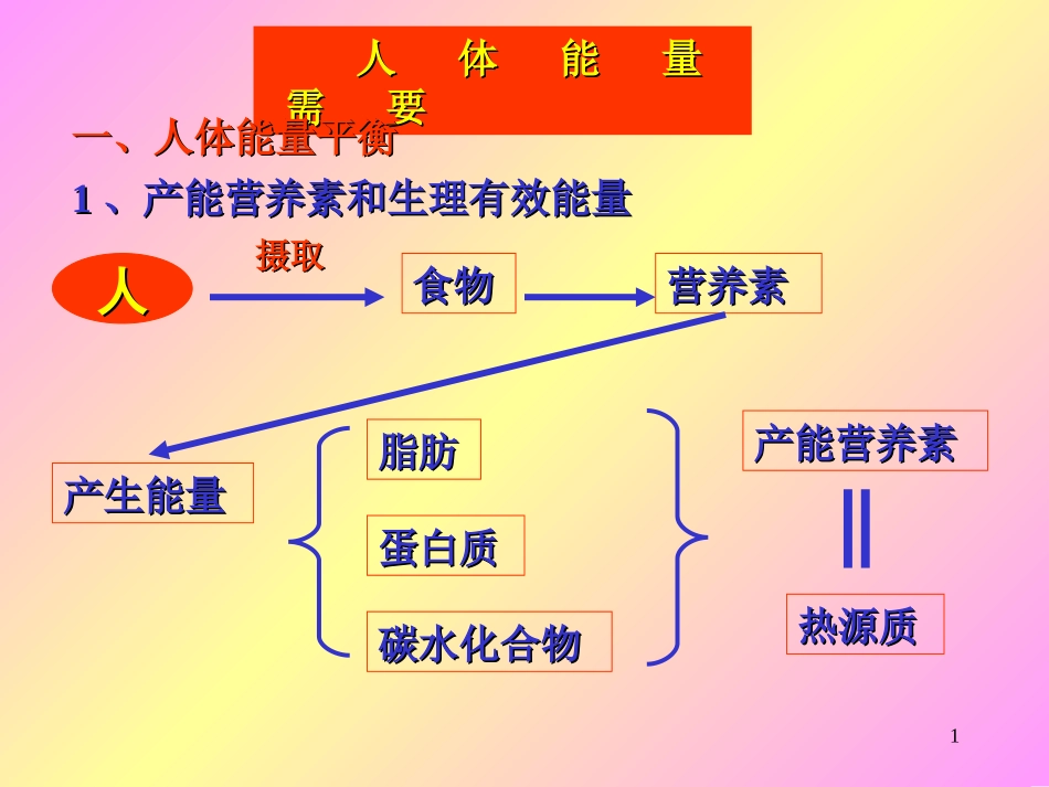 《食品营养学》人体能量需要_第1页