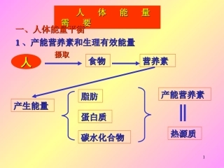 《食品营养学》人体能量需要