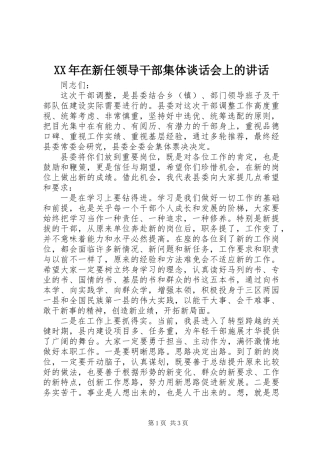 XX年在新任领导干部集体谈话会上的讲话