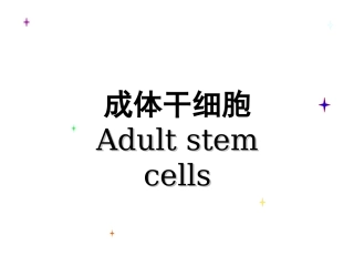 干细胞-成体干细胞.
