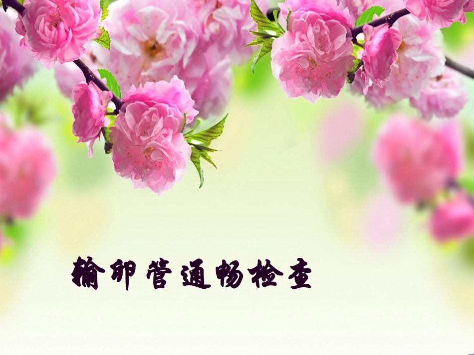 输卵管通液术2015.3.31_第1页
