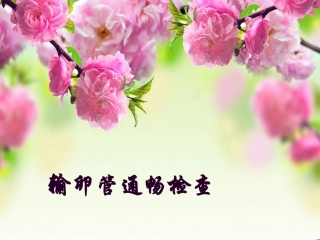 输卵管通液术2015.3.31